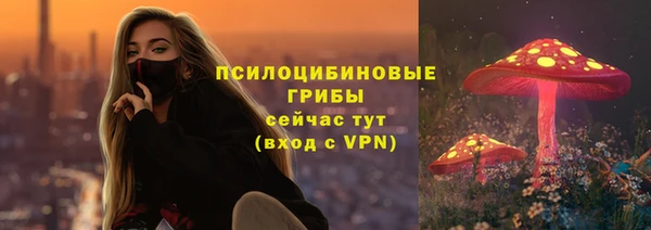 2c-b Анива