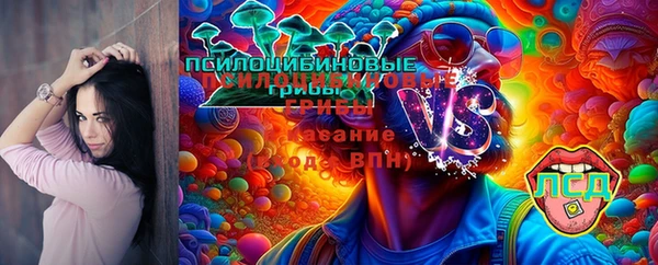 соль курить ск Новозыбков