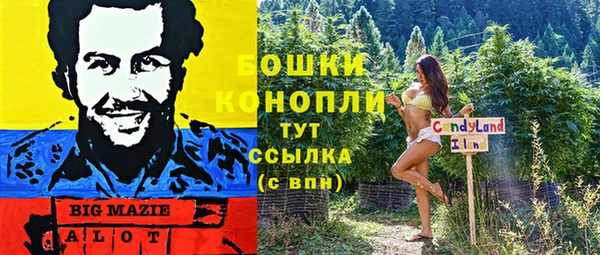 соль курить ск Новозыбков
