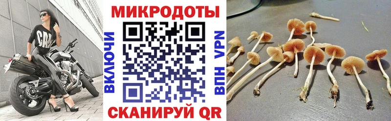 где найти наркотики Ульяновск Галлюциногенные грибы мицелий