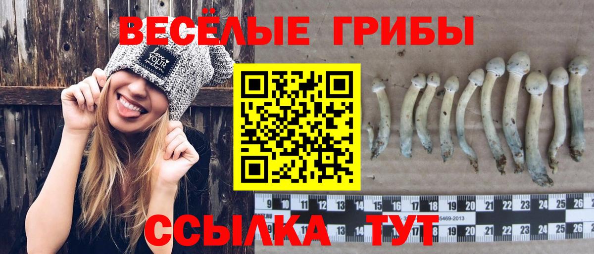 Ульяновск  Псилоцибиновые грибы Cubensis  Вход с VPN 