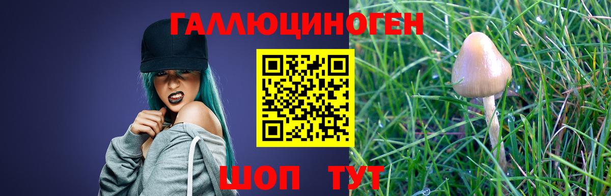 Псилоцибиновые грибы Psilocybine cubensis Ульяновск