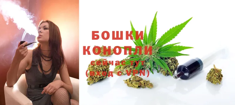 Бошки марихуана THC 21%  продажа наркотиков  Ульяновск 