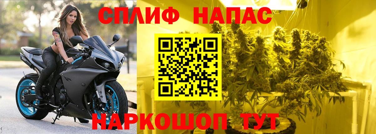 Бошки марихуана сатива  Шишки марихуана гибрид  Ульяновск  Марихуана OG Kush  Вход с VPN 